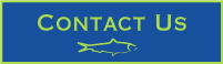 contactus